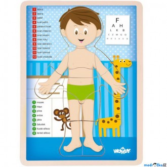 Puzzle a hlavolamy - Puzzle výukové - Anatomie, Lidské tělo kluk CZ (Woody)