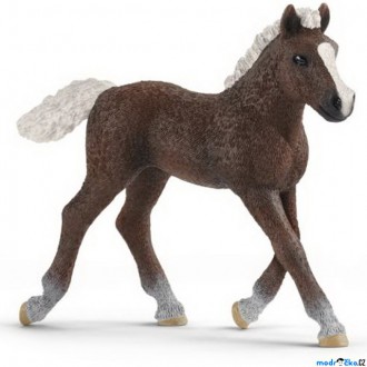 Ostatní hračky - Schleich - Kůň, Schwarzwaldské hříbě