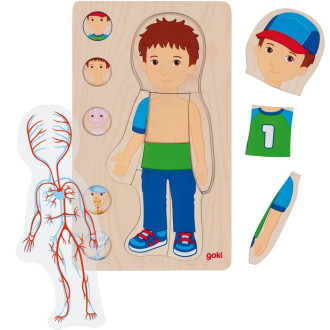 Puzzle a hlavolamy - Puzzle vícevrstvé - Lidské tělo kluk, 4 vrstvy, 29ks (Goki)