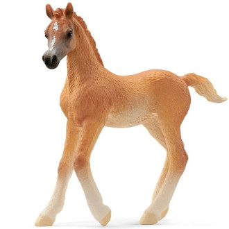 Ostatní hračky - Schleich - Kůň, Arabské hříbě