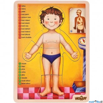 JIŽ SE NEPRODÁVÁ - Puzzle výukové - Anatomie, Lidské tělo, 12ks (Woody)
