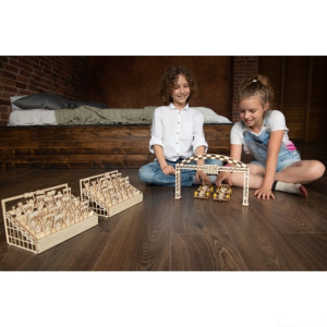 3D mechanický model - Formule (Wooden City)
