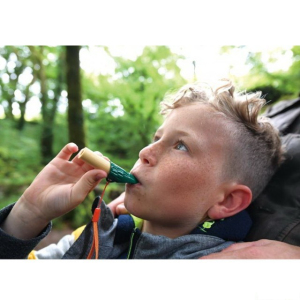 Zkoumání zvířátek - Sada detektiv v přírodě (Hape)