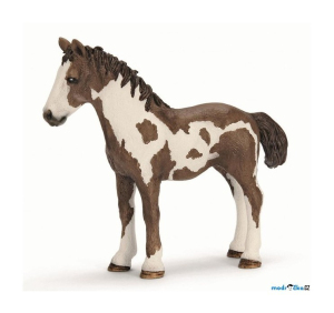 Schleich - Kůň, Pinto jednoroček