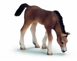 Schleich - Kůň, Arabské hříbě pasoucí se