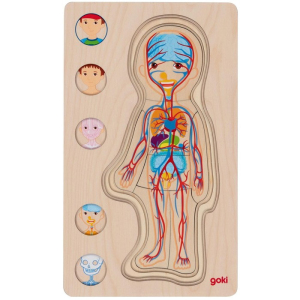 Puzzle vícevrstvé - Lidské tělo kluk, 4 vrstvy, 29ks (Goki)