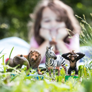 Schleich - Zvířátka set, Divoká 4ks