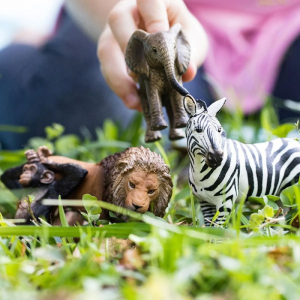 Schleich - Zvířátka set, Divoká 4ks