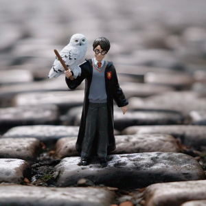Schleich - Harry Potter, Harry Potter a Hedvika