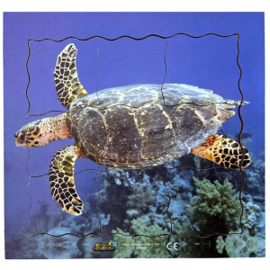 Puzzle výukové - Životní cyklus želva, 19ks (Just Jiqsaws)
