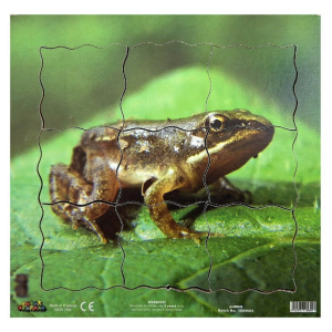 Puzzle výukové - Životní cyklus žába, 19ks (Just Jiqsaws)