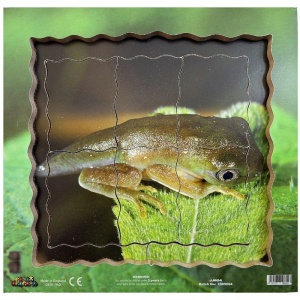 Puzzle výukové - Životní cyklus žába, 19ks (Just Jiqsaws)