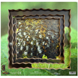 Puzzle výukové - Životní cyklus žába, 19ks (Just Jiqsaws)