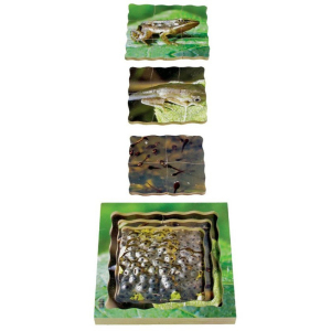 Puzzle výukové - Životní cyklus žába, 19ks (Just Jiqsaws)