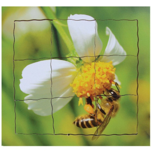 Puzzle výukové - Životní cyklus včela, 19ks (Just Jiqsaws)