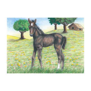 Kostky obrázkové 9ks - Mláďata na farmě (Goki)