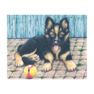 Kostky obrázkové 9ks - Mláďata na farmě (Goki)