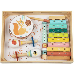 Hudba - Muzikální set, 4 nástroje Lesní zvířátka (2Kids Toys)