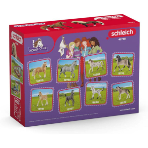 Schleich - Jezdecký klub, Startovací set Paso Peruano
