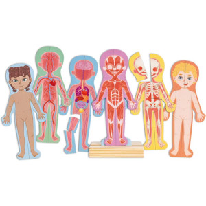 Puzzle magnetické - Lidské tělo (Hape)