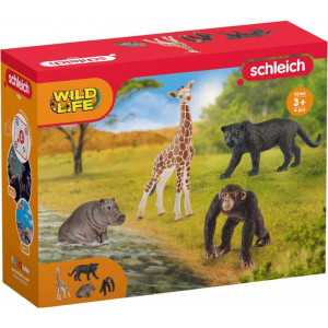 Schleich - Zvířátka set, Startovací Divoká zvířata