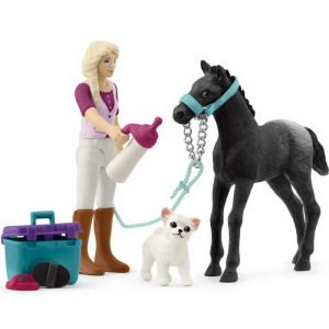 Schleich - Jezdecký klub, Hrací sada Péče o koně s hříbětem Appaloosa