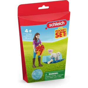 Schleich - Jezdecký klub, Hrací sada Narozeninová oslava s Lisou