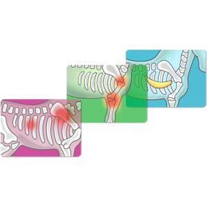 Schleich - Jezdecký klub, Klinika pro koně Zdravá kopyta