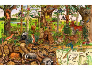 Puzzle dřevěné - Maxi, Život v lese, 48ks (Bigjigs)
