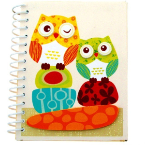 Notýsek - Malý, Sova (Bino)