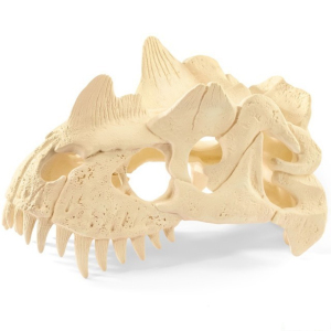 Schleich - Dinosaurus set, Velká lebka s Velociraptorem a ještěrem